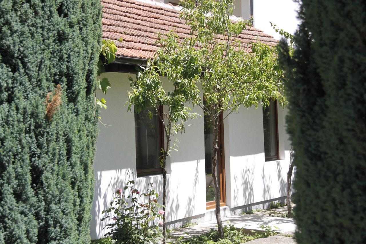 Garden Guesthouse Gjakova Eksteriør billede